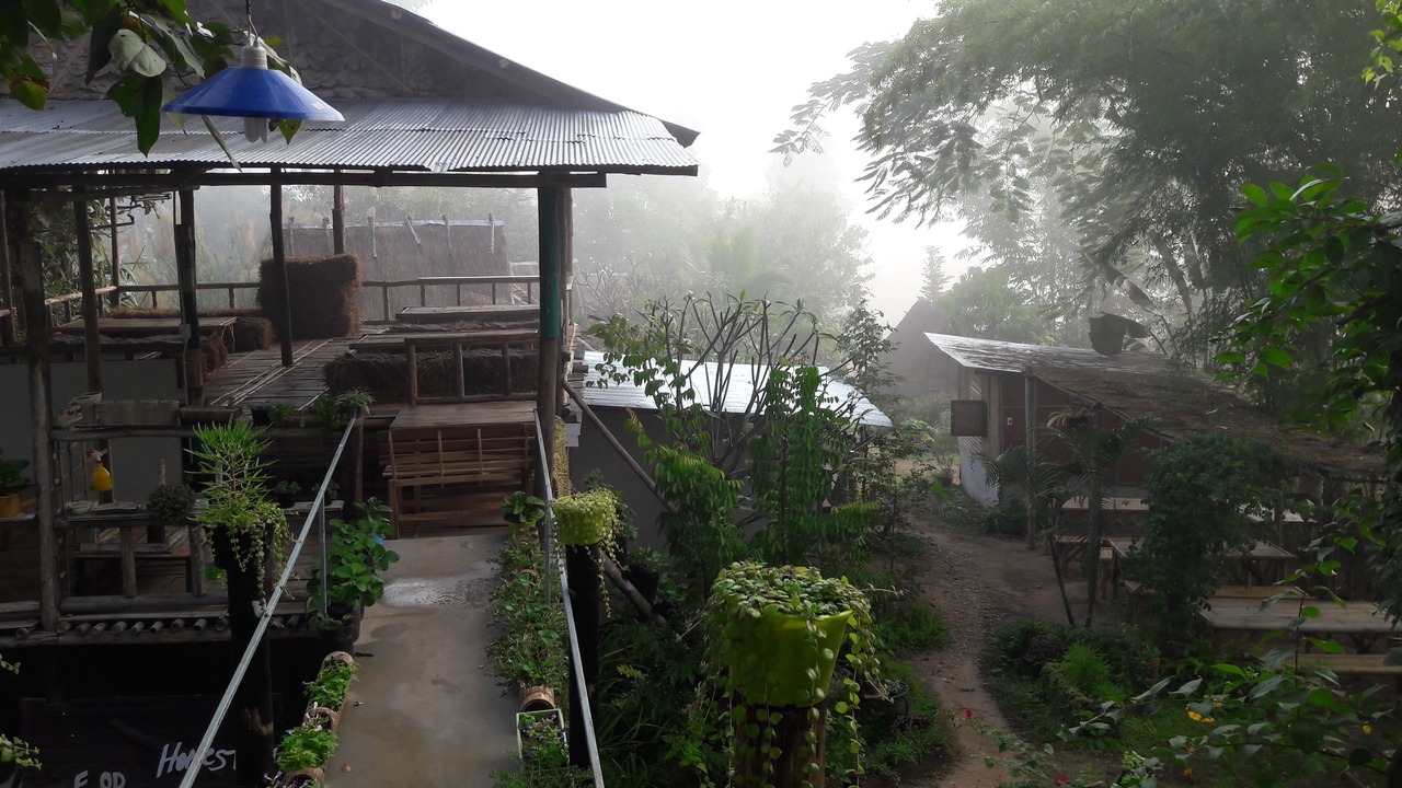 Photo of Others in Pai