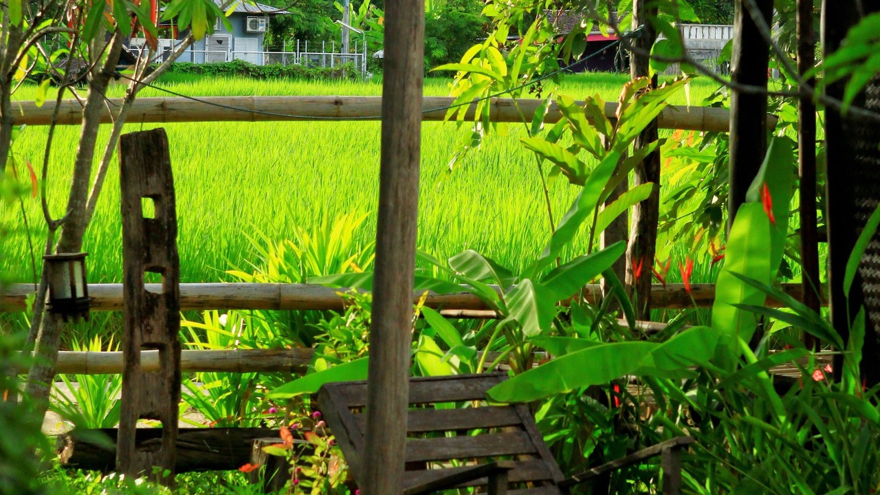Photo of Others in Pai