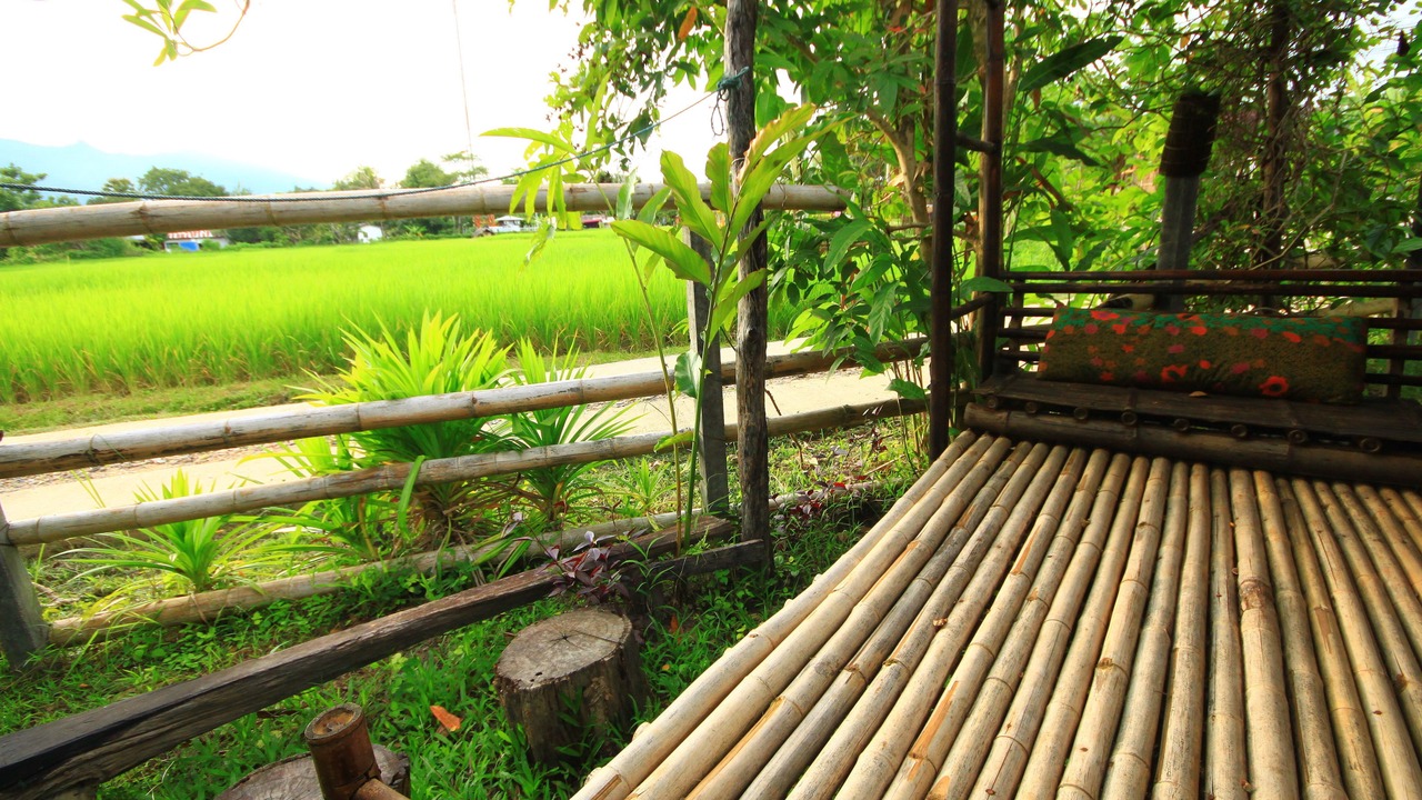 Photo of Others in Pai