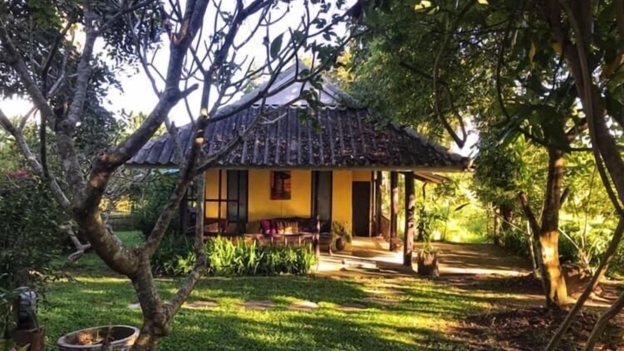 Photo of Outdoor in Wiang Tai
