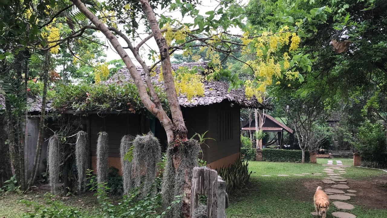 Photo of Outdoor in Wiang Tai