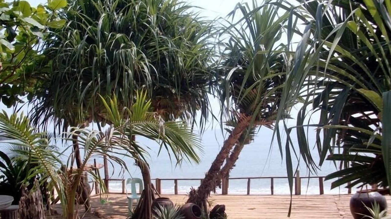 Photo of Others in Khlong Khut