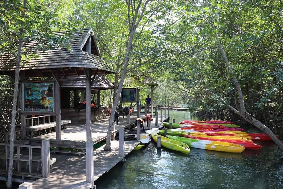 Photo of Others in Khlong Khut