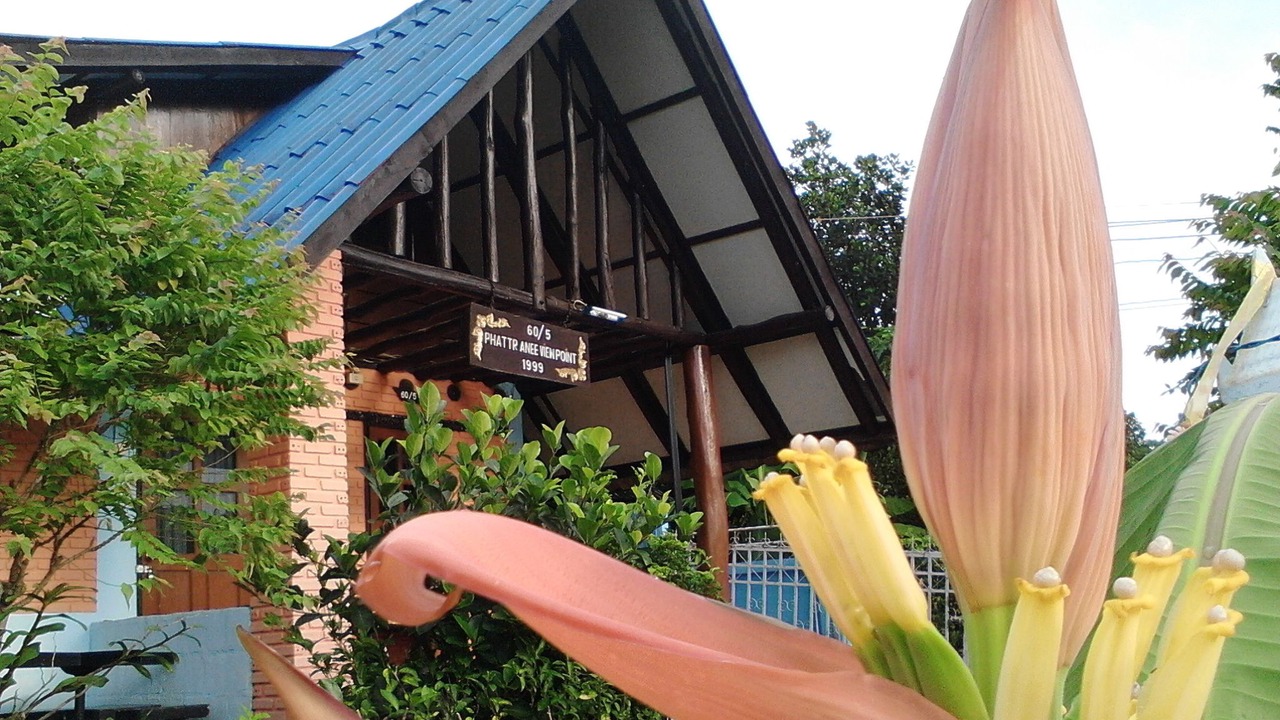Photo of Others in Mae Hong Son