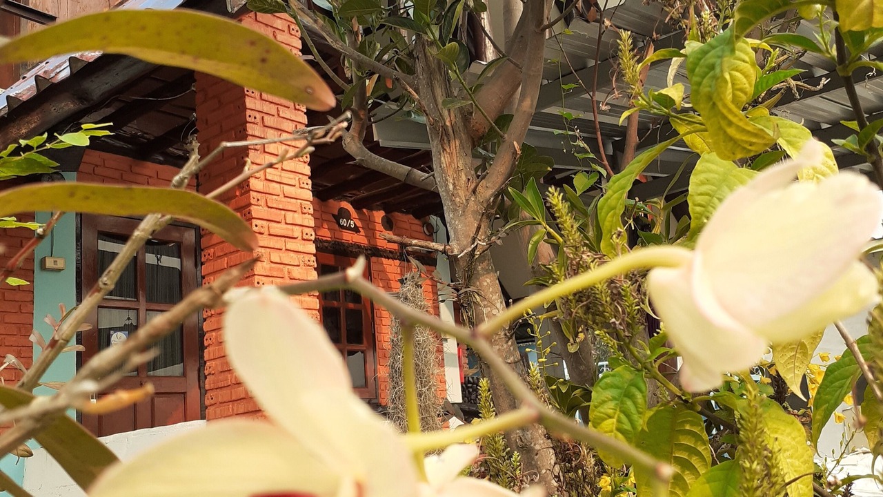 Photo of Outdoor in Mae Hong Son
