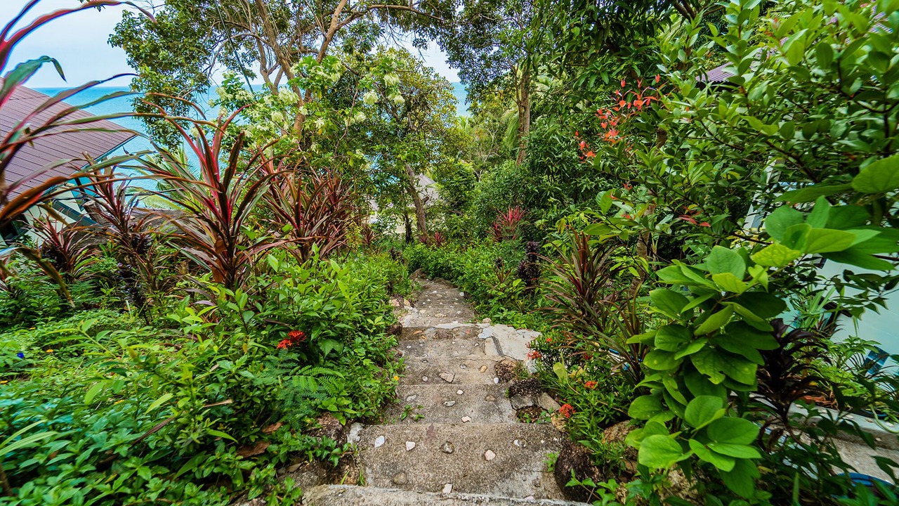 Photo of Outdoor in Baan Tai
