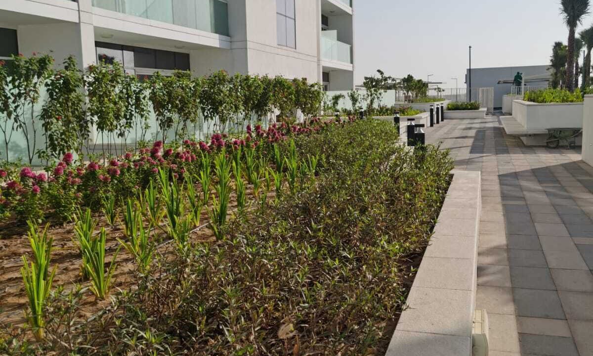 Photo of Outdoor in Dubai