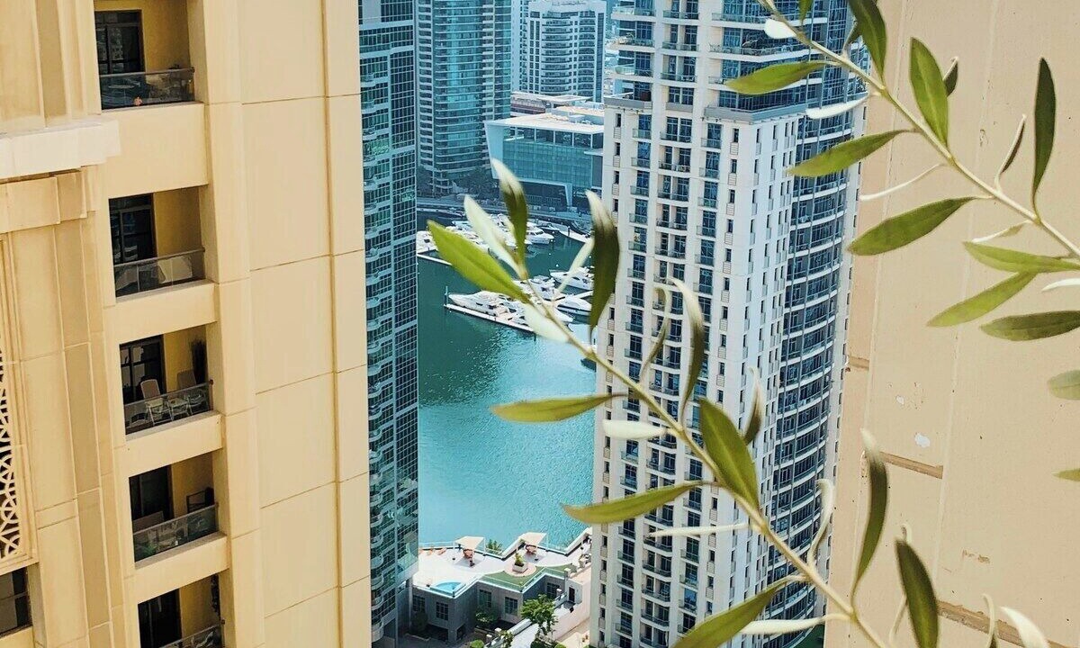 Photo of Others in Dubai Marina