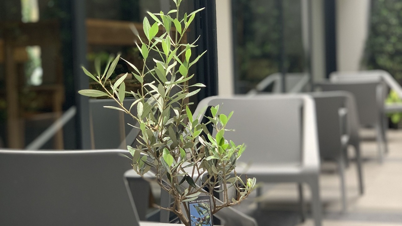 Photo of Outdoor in Pathumwan
