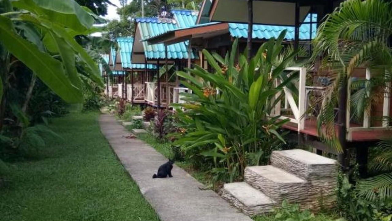 Photo of Outdoor in Bai Lan