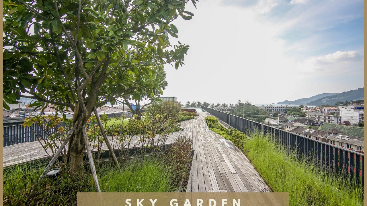 Photo of Outdoor in Patong