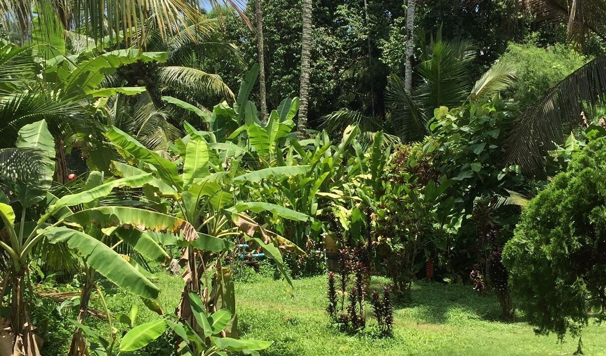 Photo of Outdoor in Klong Son