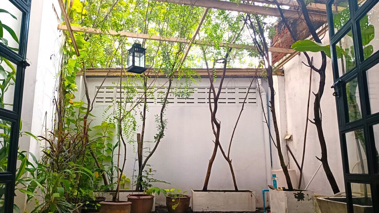 Photo of Outdoor in Phra Khanong Nuea