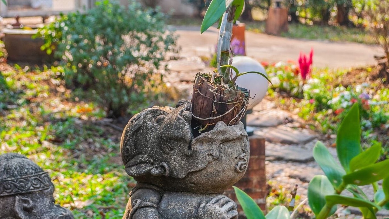 Photo of Outdoor in Mae Kon