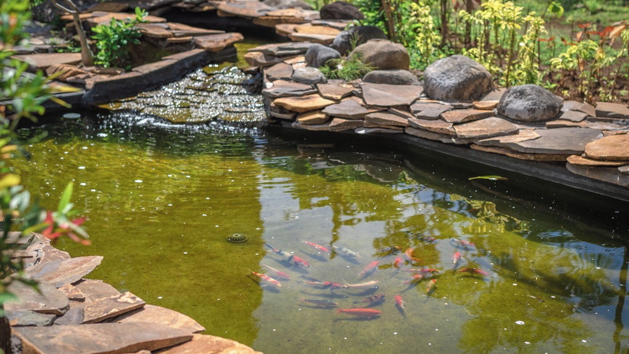 Photo of Outdoor in Dencarik