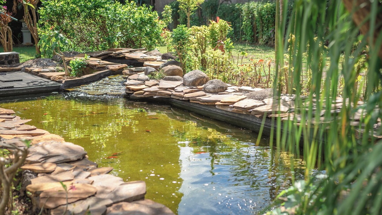 Photo of Outdoor in Dencarik