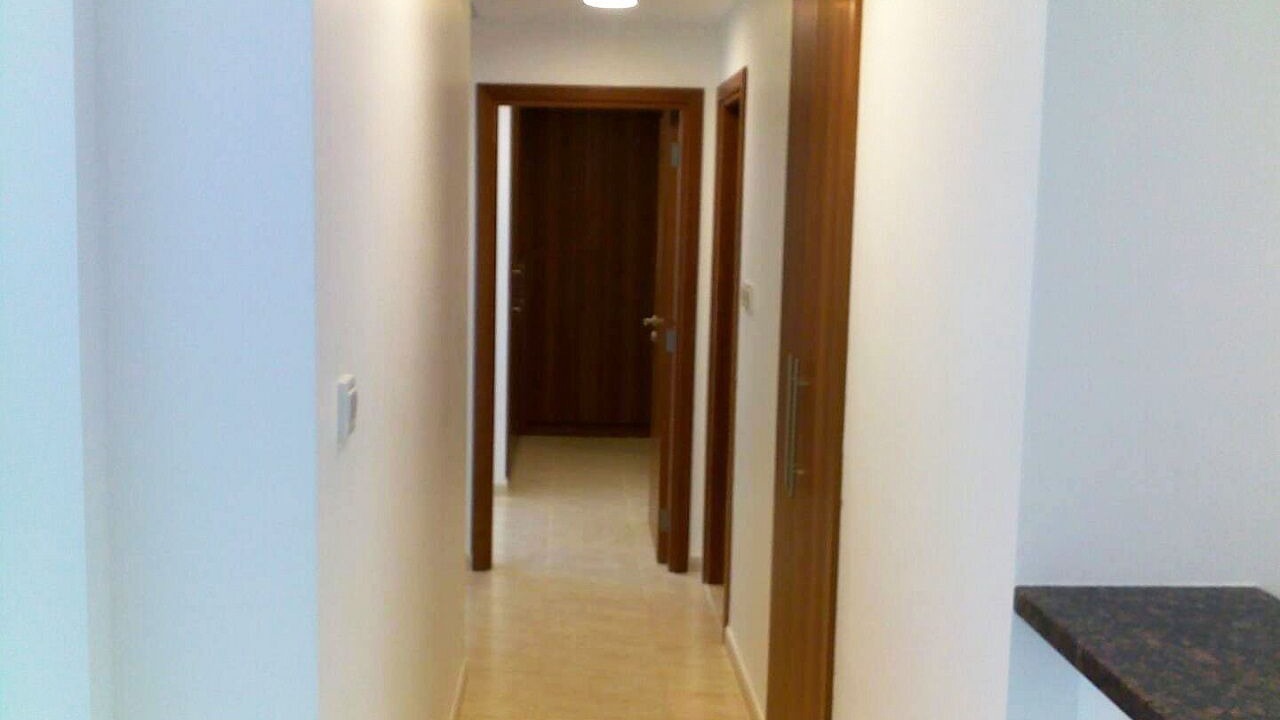 Photo of Others in Dubai