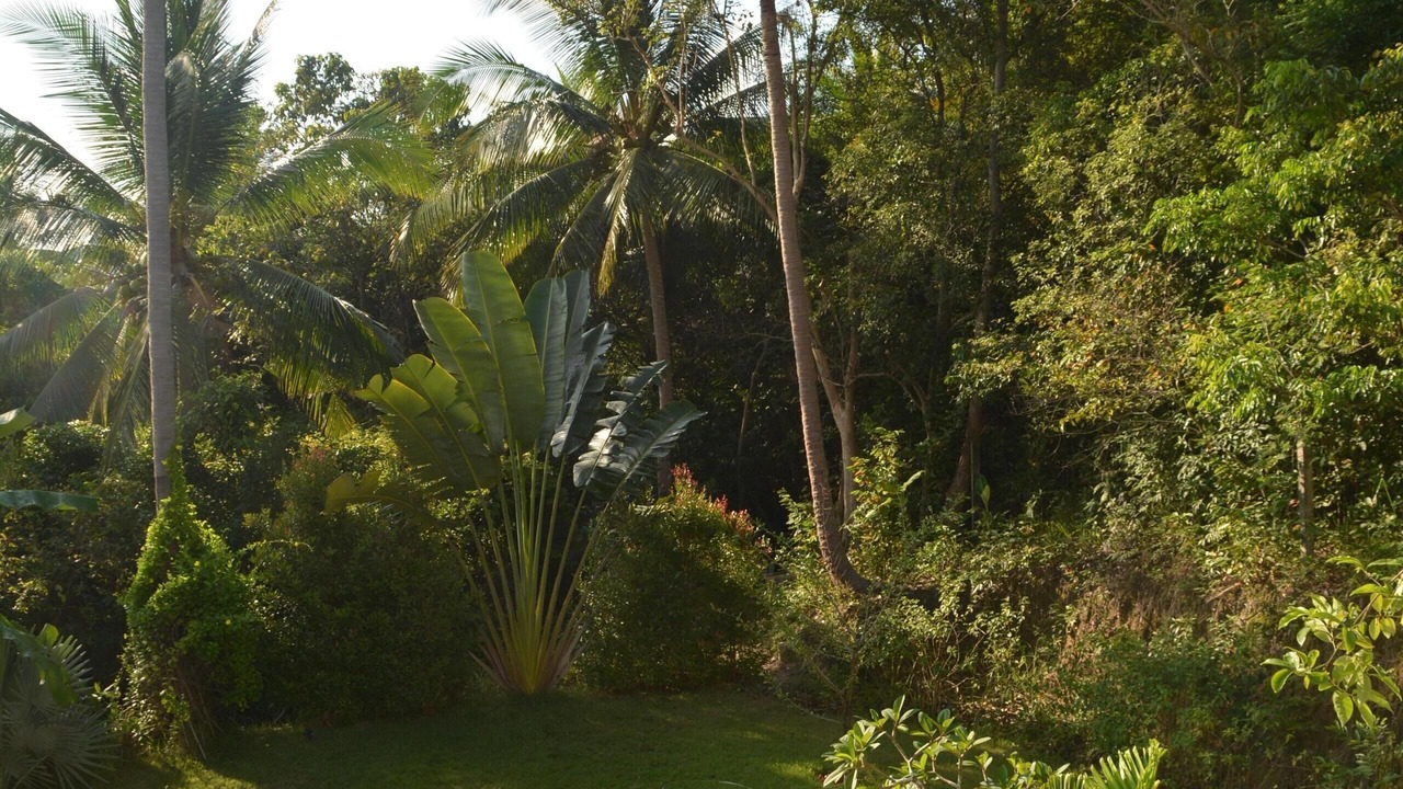Photo of Others in Plai Laem