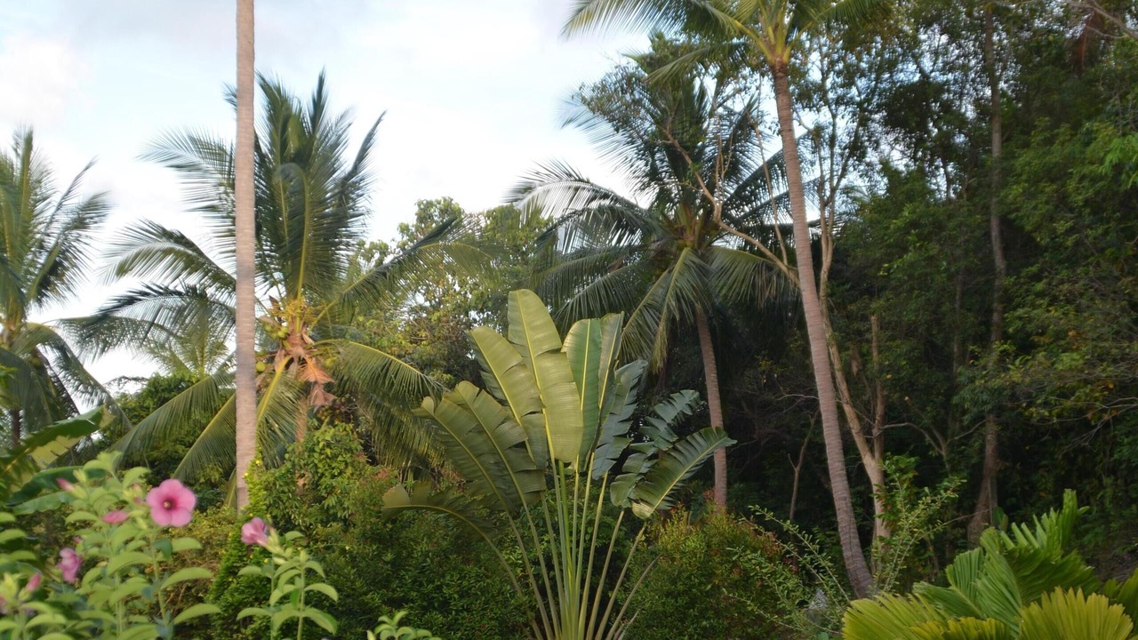 Photo of Others in Plai Laem