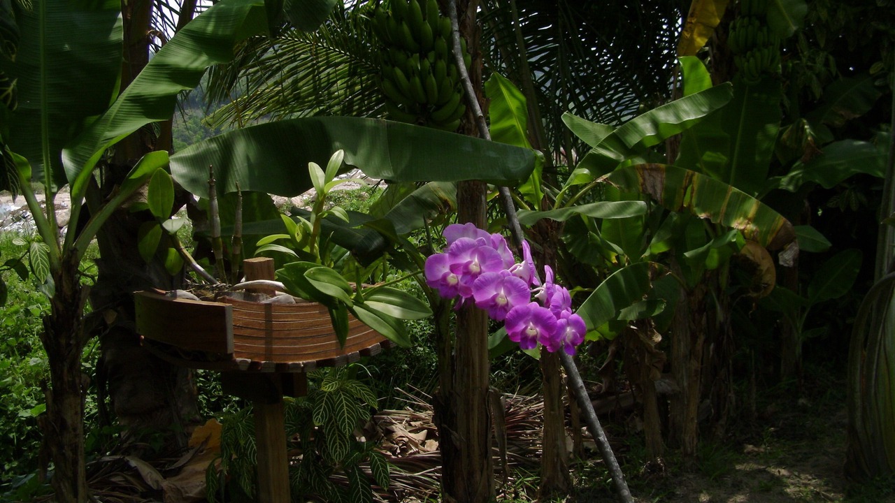 Photo of Outdoor in Sa Khu