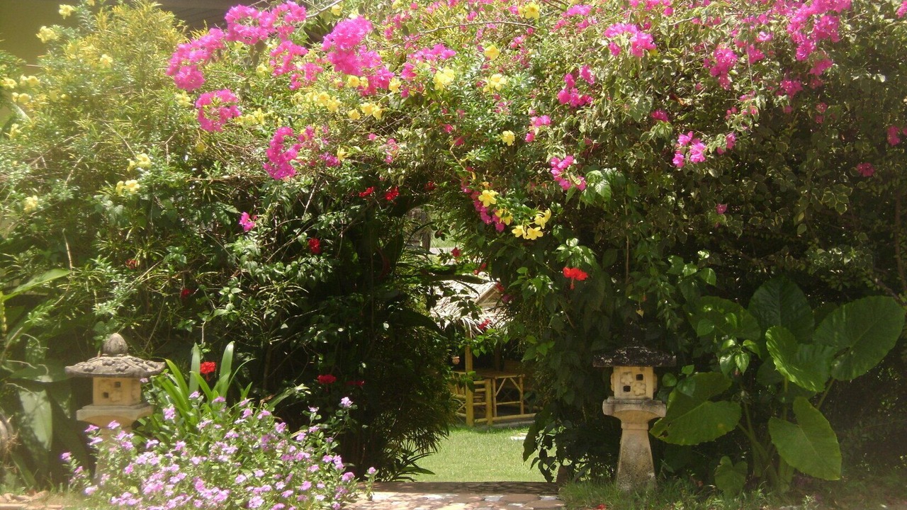 Photo of Outdoor in Sa Khu