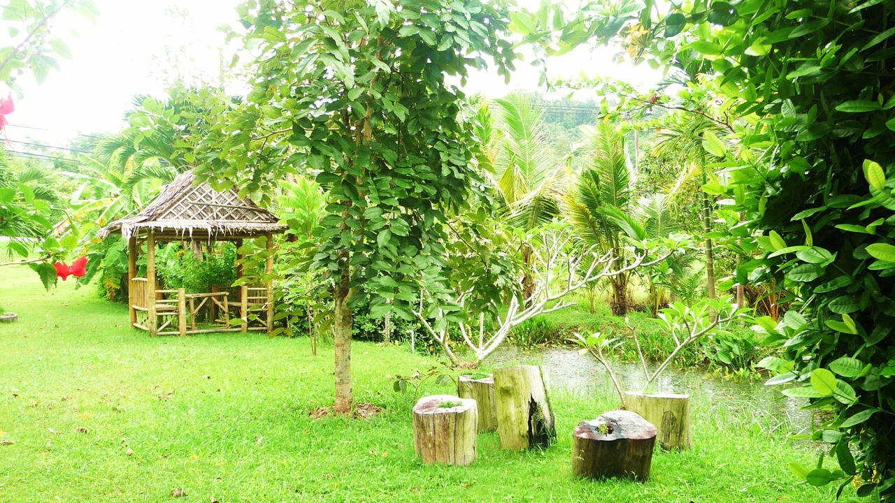Photo of Outdoor in Sa Khu