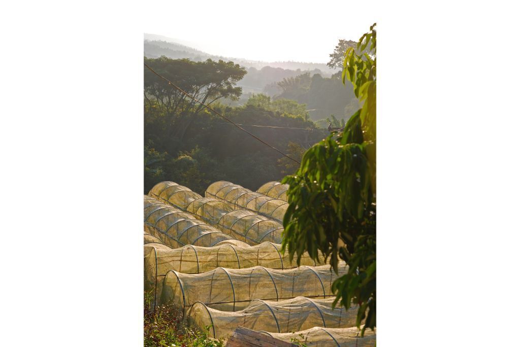 Photo of Others in Hang Dong