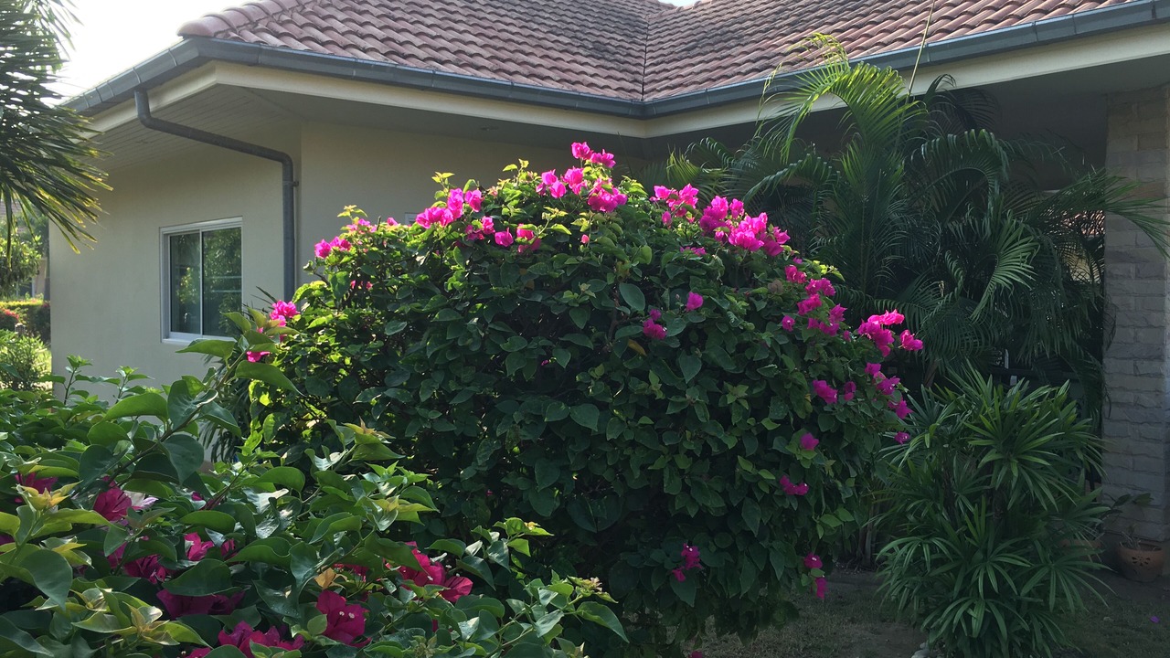 Photo of Outdoor in Hua Hin