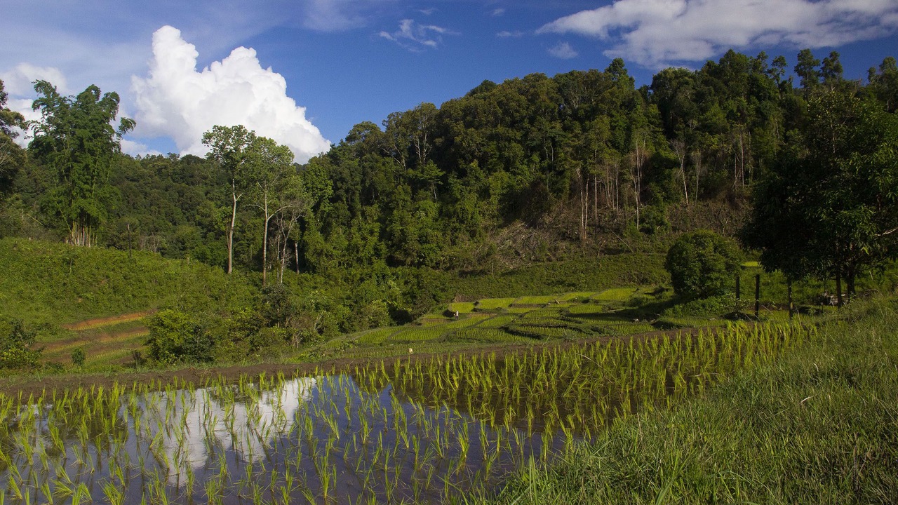 Photo of Outdoor in Mae Wang