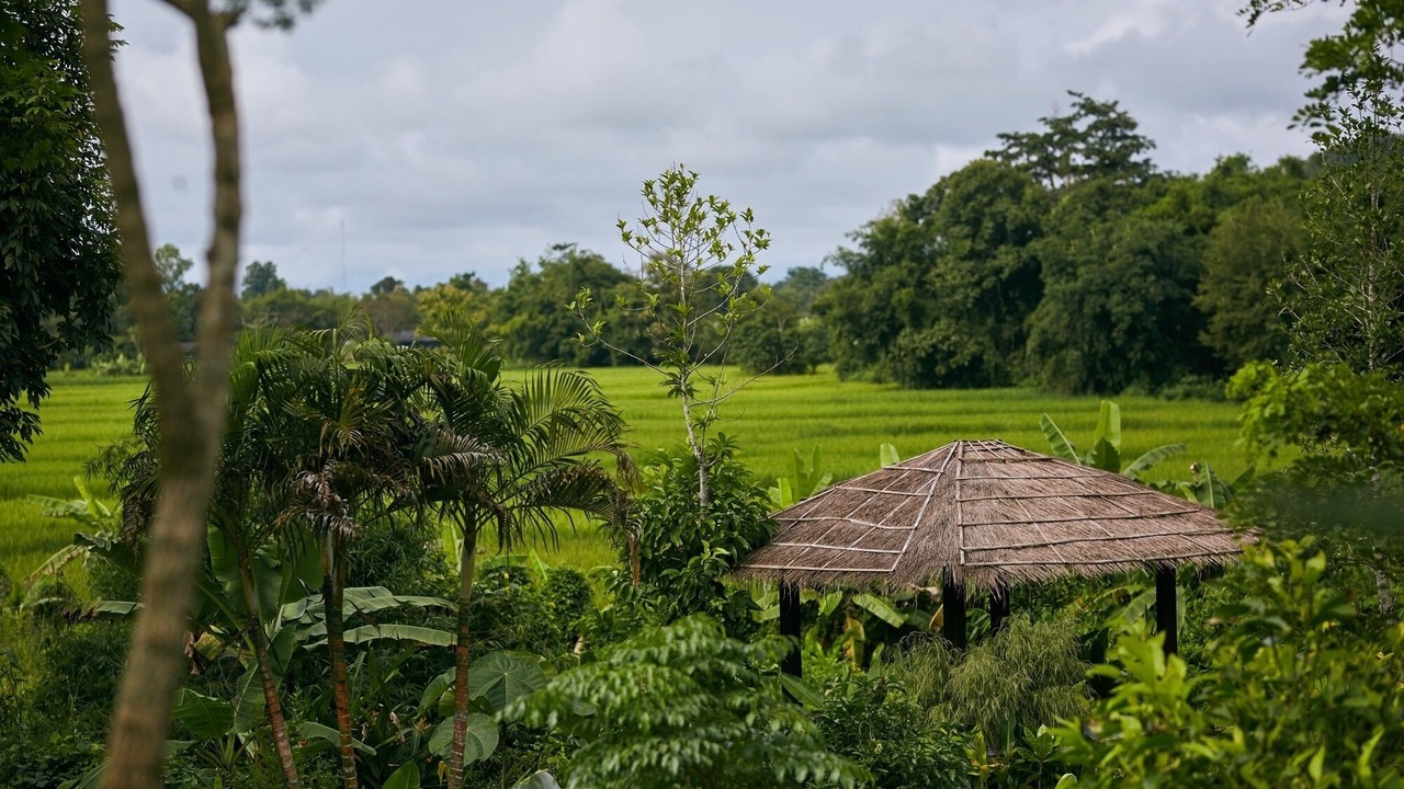 Photo of Others in Nang Lae