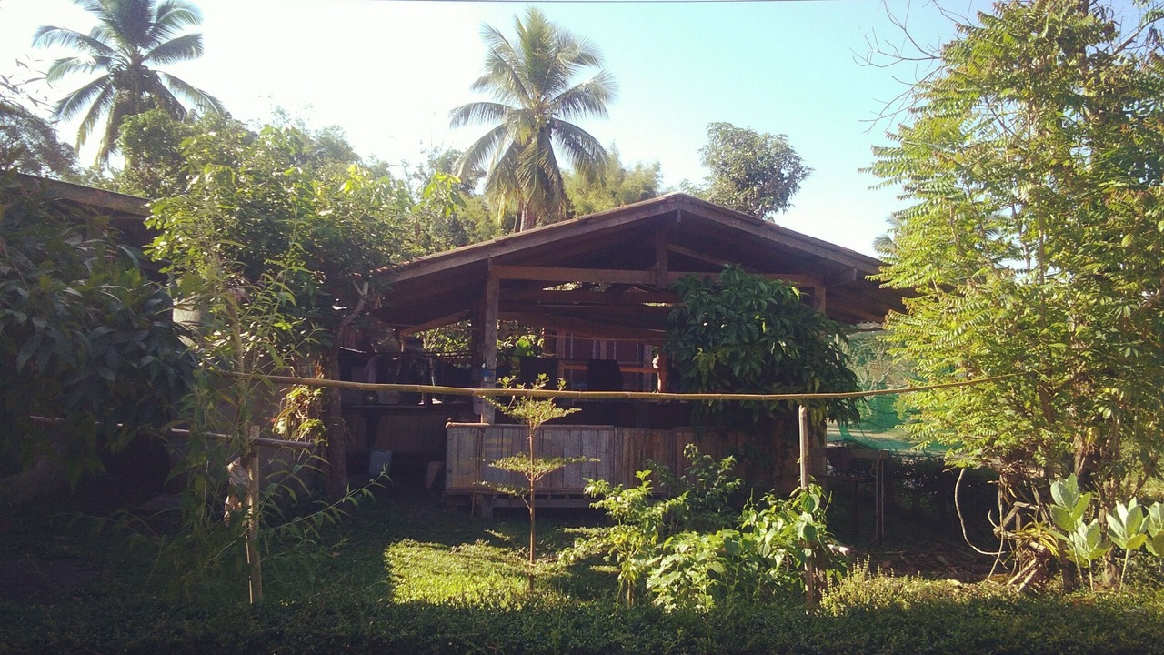 Photo of Outdoor in Pai