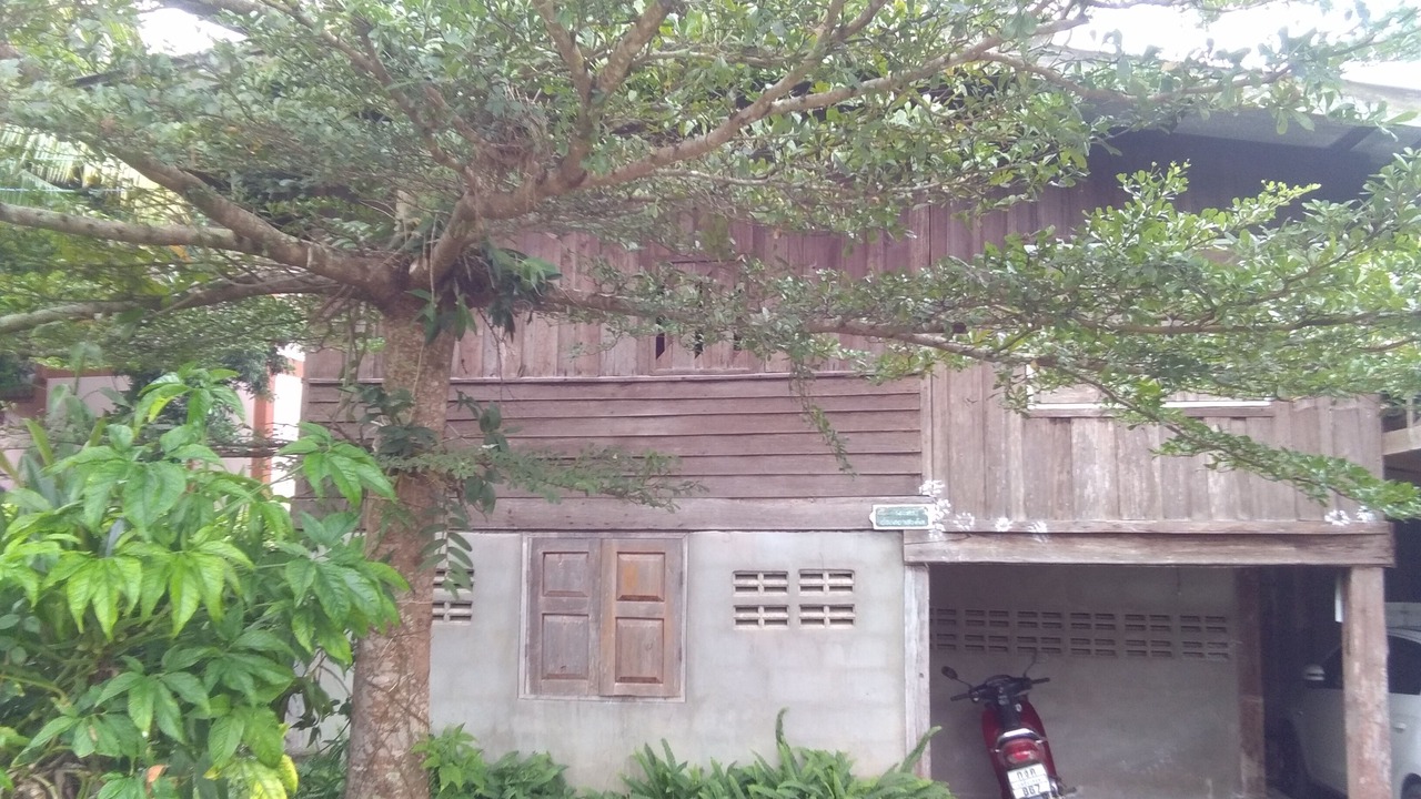 Photo of Outdoor in Pai