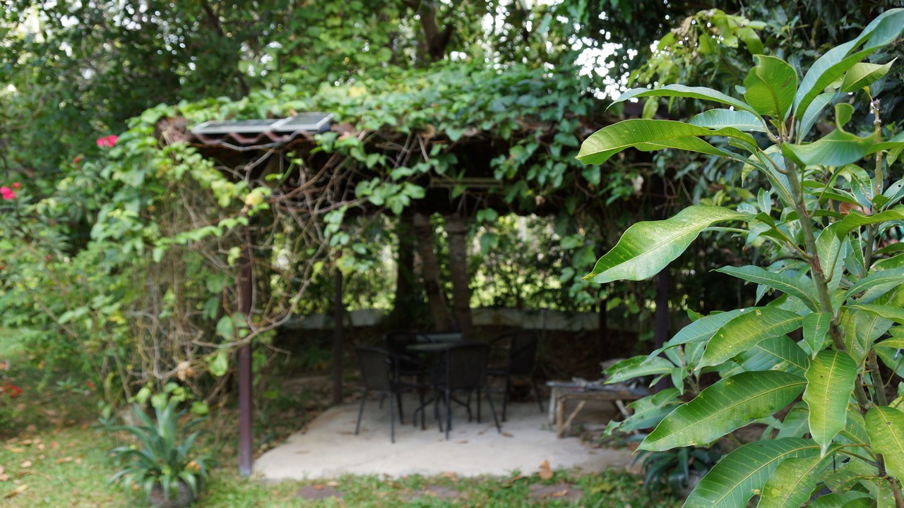 Photo of Outdoor in Wok Tum