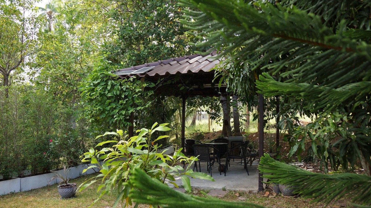Photo of Outdoor in Wok Tum