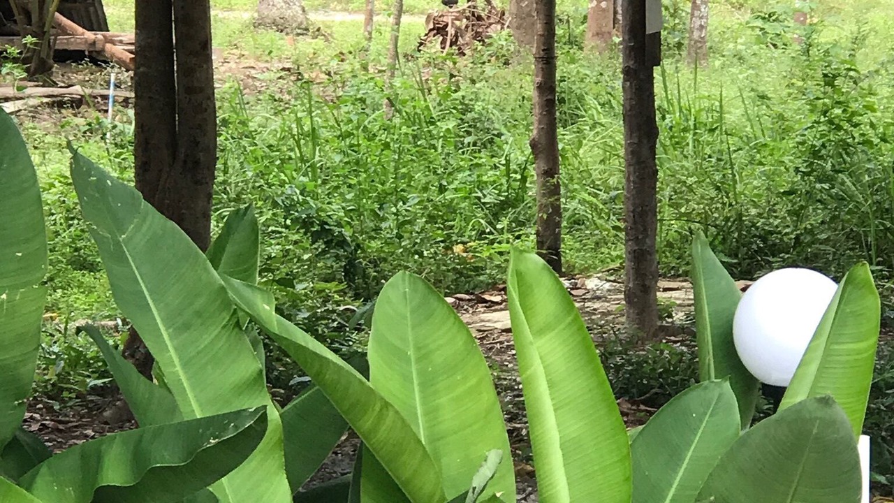 Photo of Outdoor in Taling Ngam