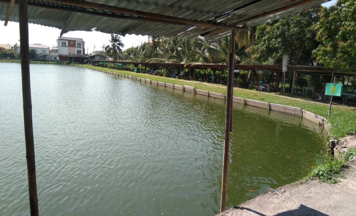 Photo of Outdoor in Thung Khru