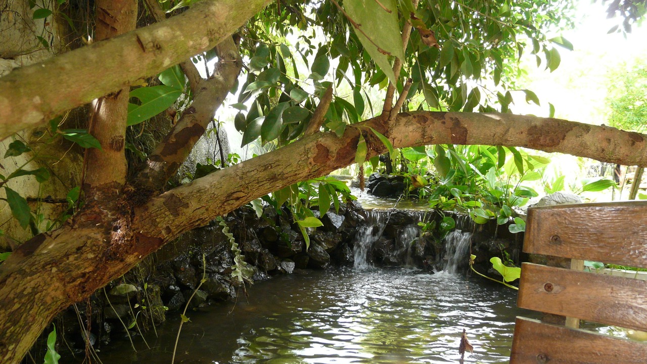 Photo of Outdoor in Doi Saket