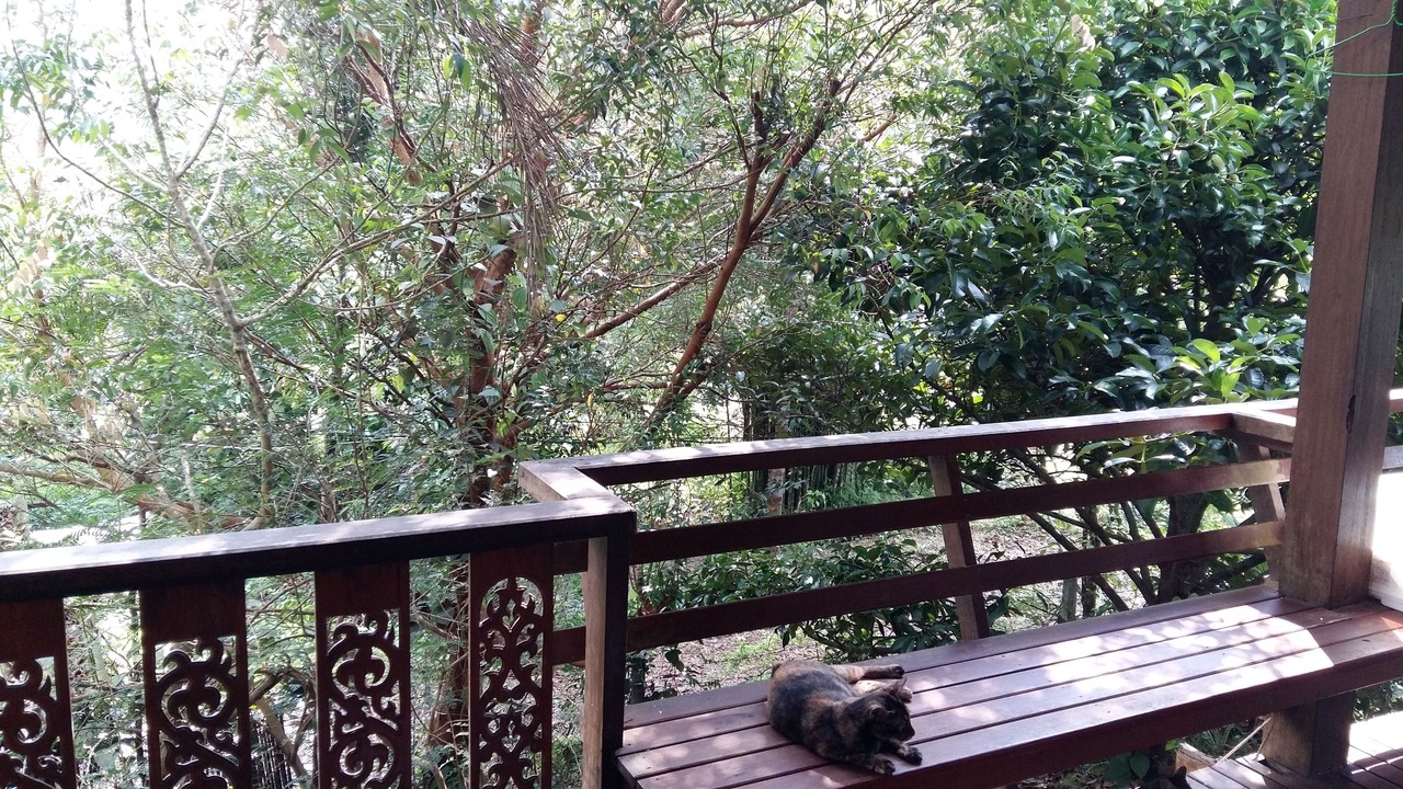 Photo of Outdoor in Laem Klat