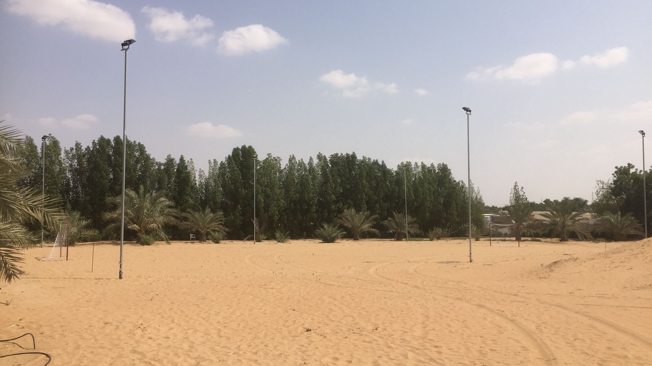 Photo of Others in Dubai