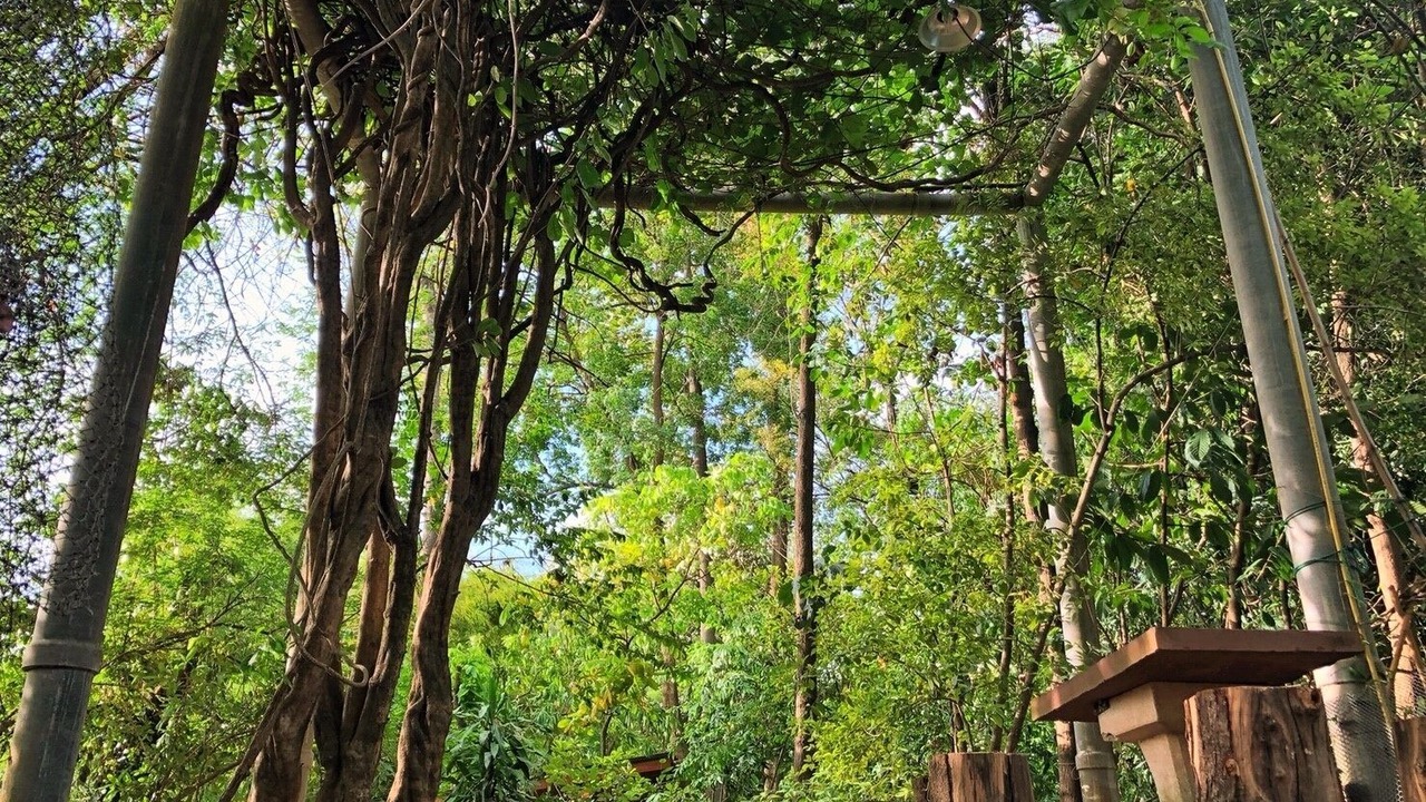 Photo of Bedroom in U Thong