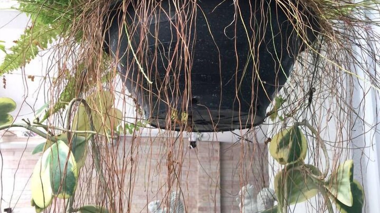 Photo of Others in Ekkamai