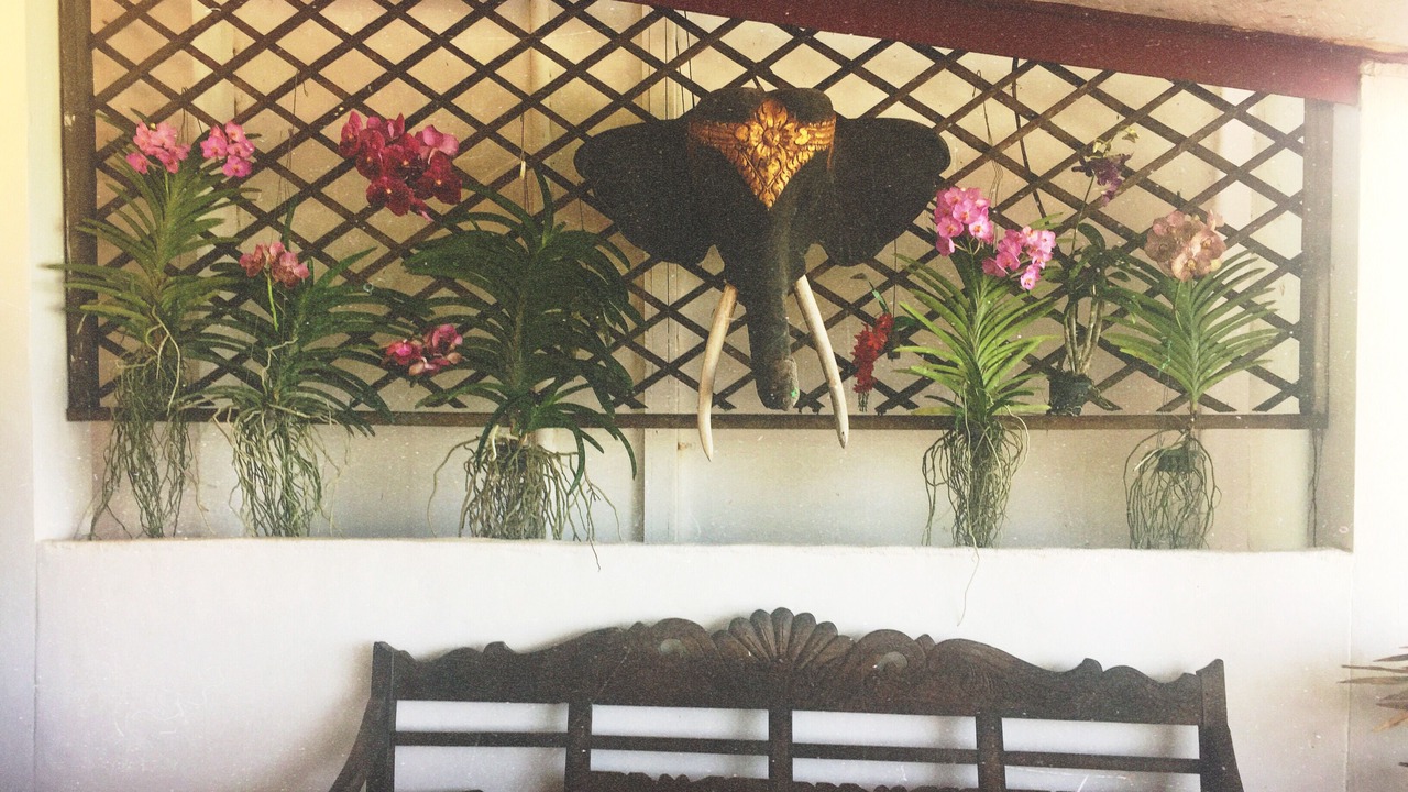 Photo of Livingroom in Chaloklum