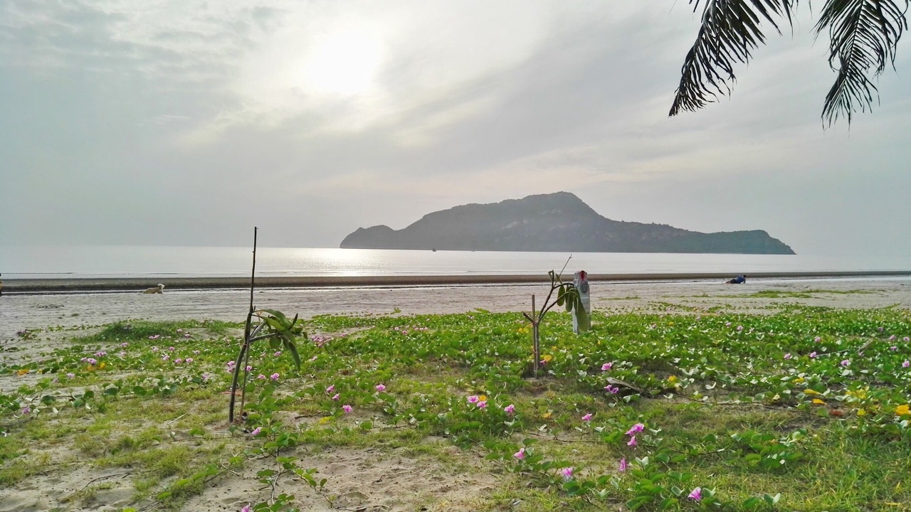 Photo of Others in Sam Roi Yot