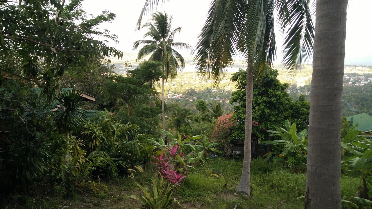 Photo of Outdoor in Bophut