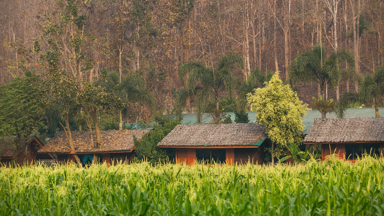 Photo of Outdoor in Mae Wang