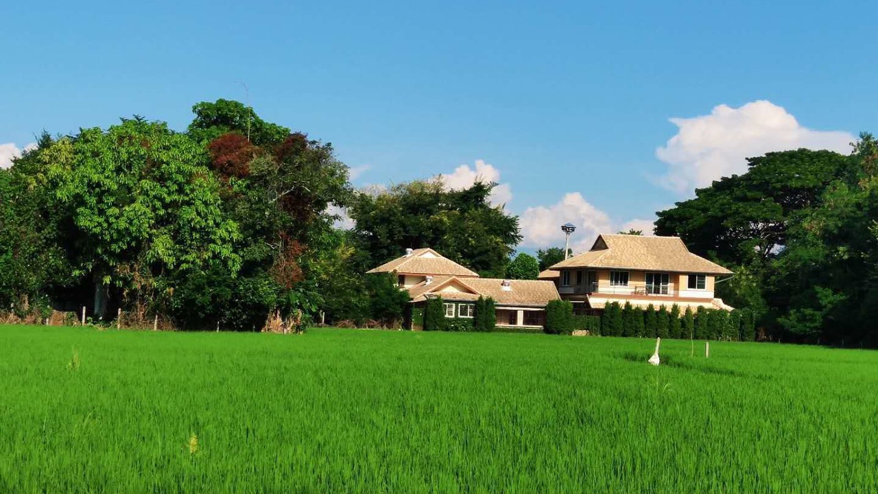 Photo of Outdoor in San Sai
