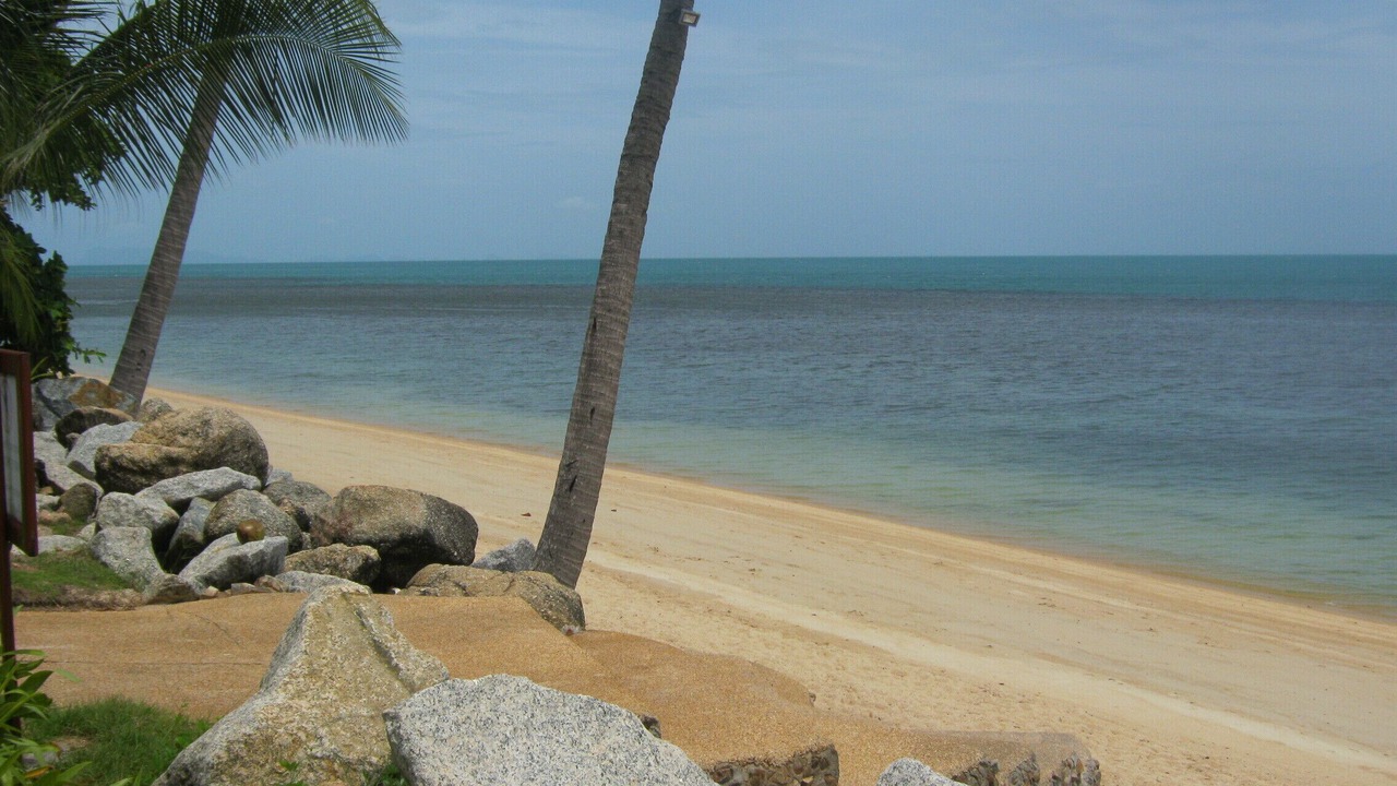 Photo of Others in Bang Po