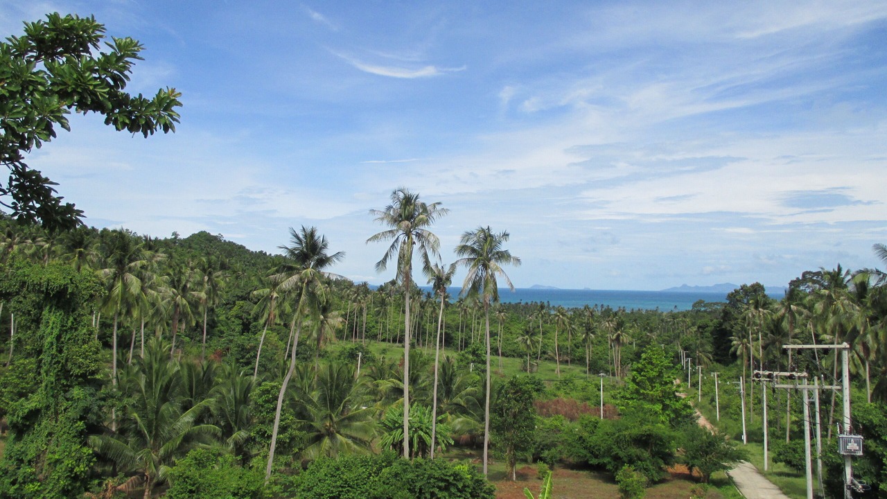 Photo of Others in Thong Krut
