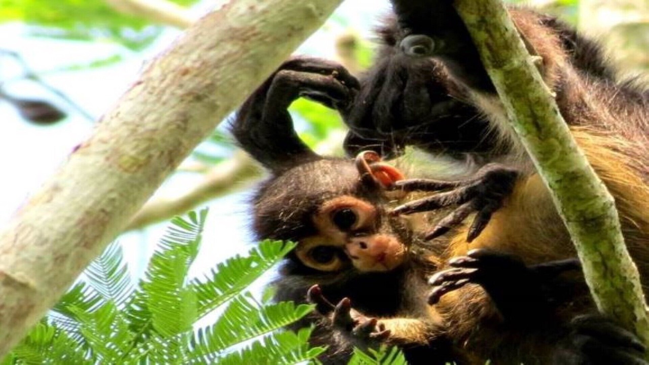 Photo of Outdoor in Campestre