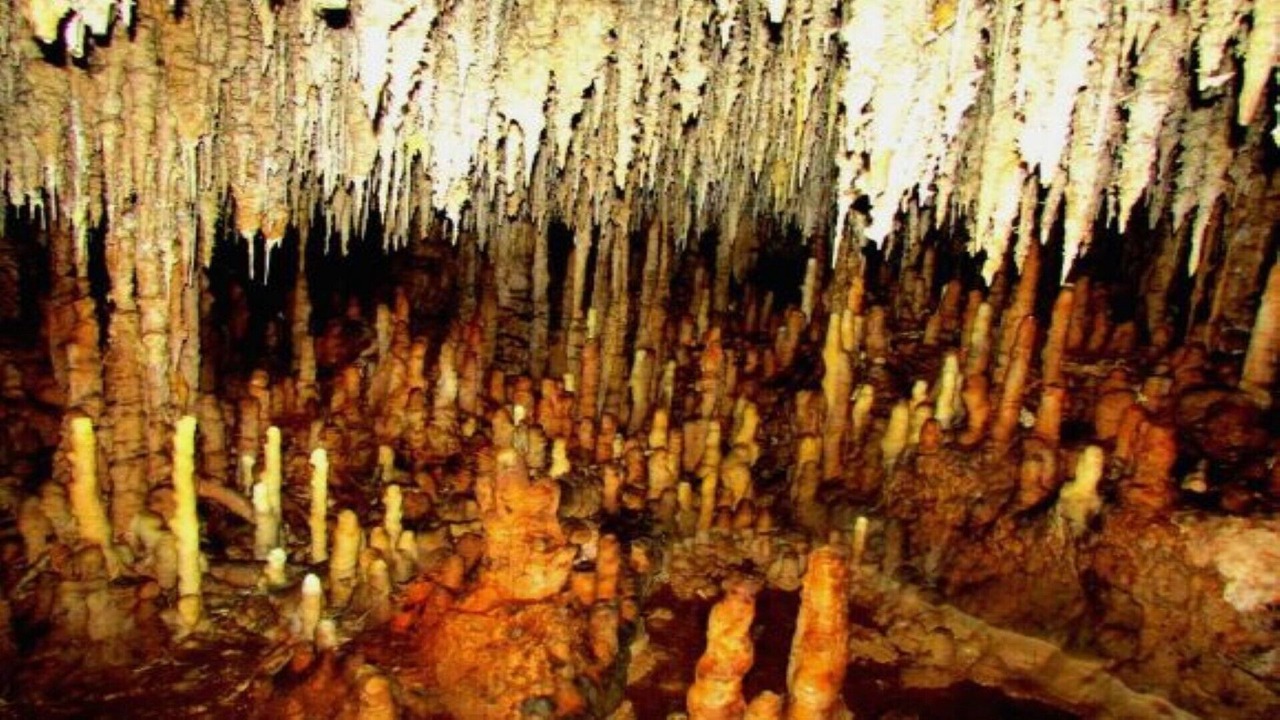 Photo of Others in Campestre